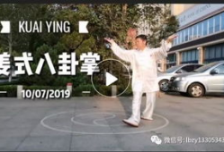 八卦掌视频,视频解析传统武术奥秘